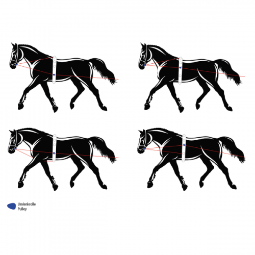 TN129225_129222.png