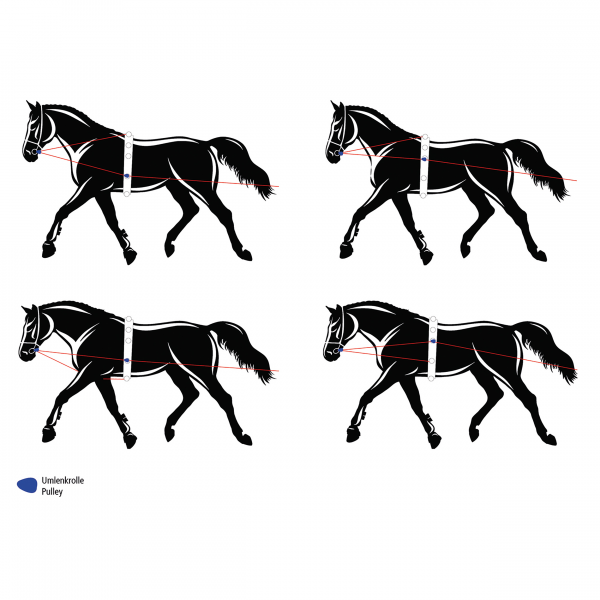 TN129225_129222.png