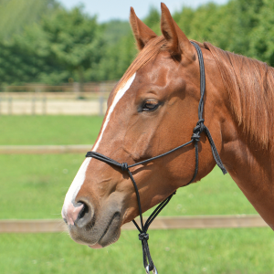 Kantar sznurkowy SMOOTH II 