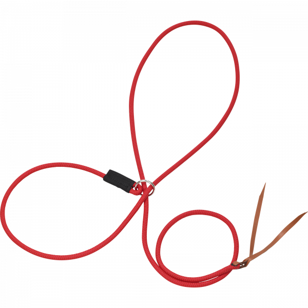 TN601309_rot.png