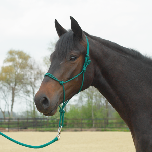 Kantar sznurkowy STANDARD 