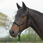 Kantar sznurkowy STANDARD 