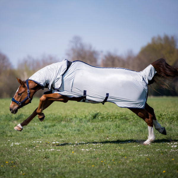 TN603215_ar6_image_2021 (1).png