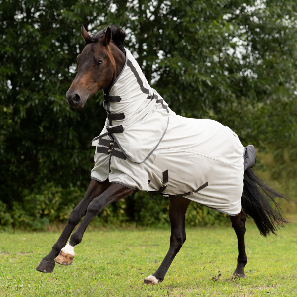 TN603165_930_image (1).png