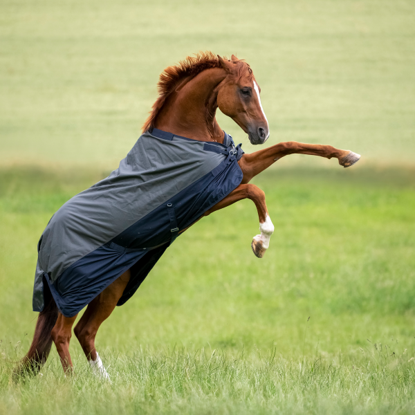 TN603216_365_image (1).png