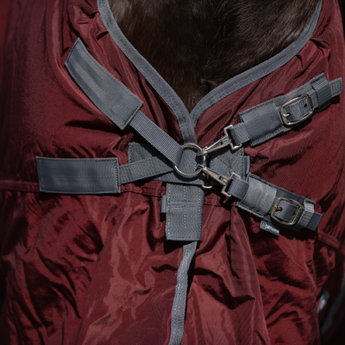 TN603222_cr9 (2).png