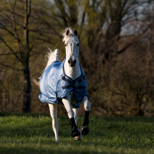 TN603226_cw1_image_2021.png