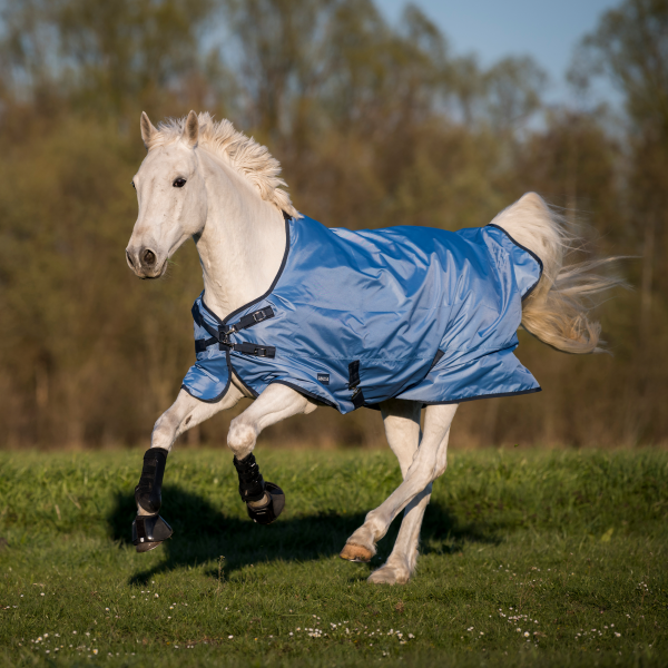 TN603226_cw1_image_2021 (1).png