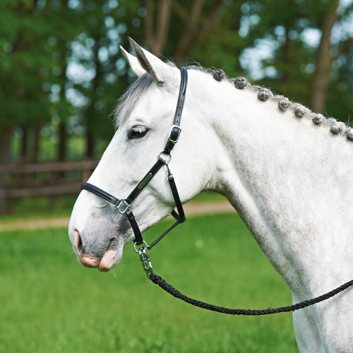 Kantar BRAND, skóra 