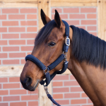 Kantar 3D AIR EFFECT PLUS