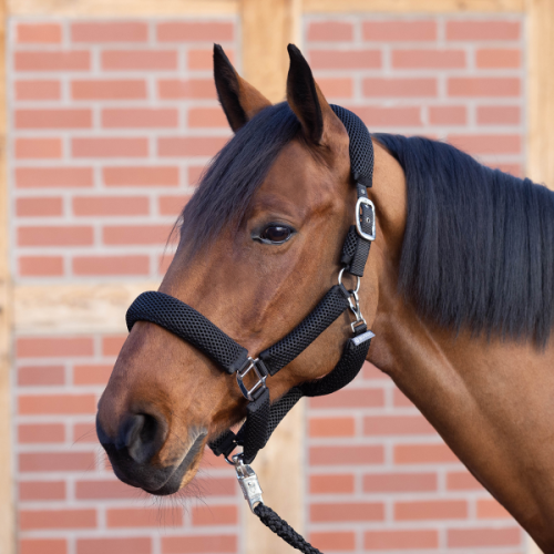 Kantar 3D AIR EFFECT PLUS 