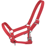 Kantar YOUNG źrebięcy  