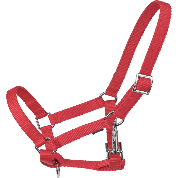 TN601904_rot.png