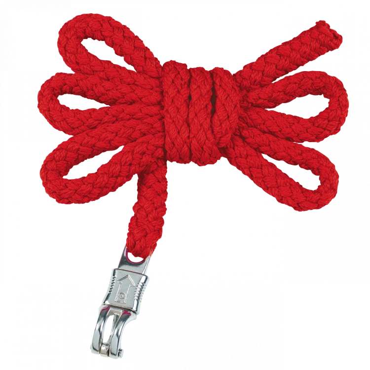 TN602203_752_PH (1).png