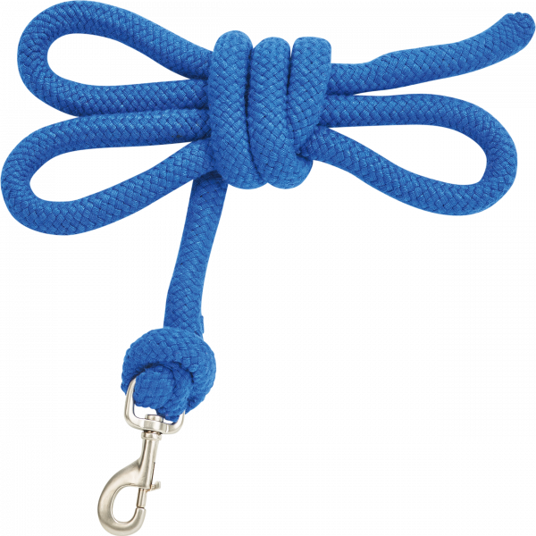 TN602266_171 (1).png