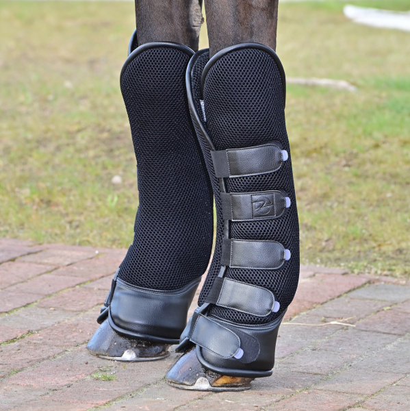 TN605015_040_g46 (1).png
