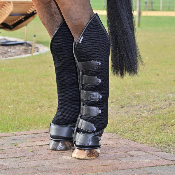 TN605015_040_g47 (1).png