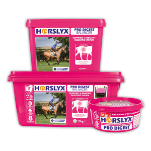 HORSLYX  Pro Digest 5kg 