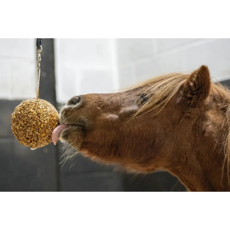 likit-stall-ball-complementary-feed.jpg