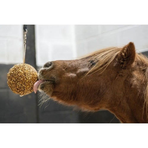 likit-stall-ball-complementary-feed.jpg