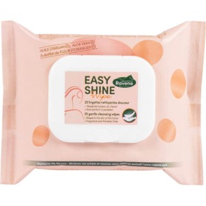 EASY SHINE WIPE mokre chusteczki 25 szt.