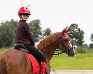 Nauszniki świąteczne QHP - WYSYŁKA 48H