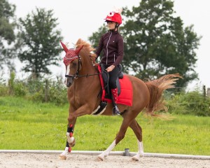 Nauszniki świąteczne QHP - WYSYŁKA 48H
