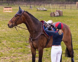 Napierśnik QHP Q-Cross "Sedna"