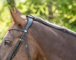 Wodze QHP Daisy Rein