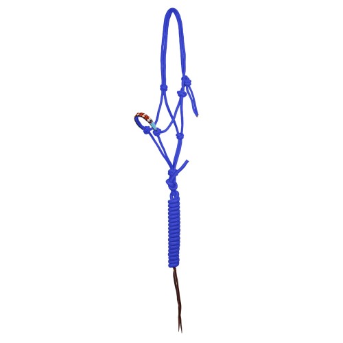 PLH03010_ROY-1.jpg