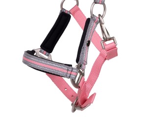 Kantar źrebięcy Flore z naczółkiem