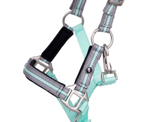 Kantar źrebięcy Flore z naczółkiem  