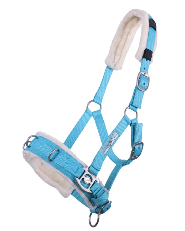 1668sk_8.jpg