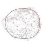 Siatka na włosy Invisible Pearl  