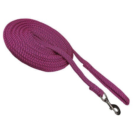 Lonża "Stripe" York 