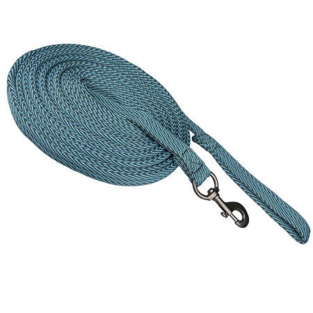 Lonża "Stripe" York 