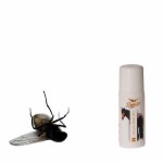 RAPIDE Rap Weg Roll On 60ml - preparat odstraszający owady w kulce 
