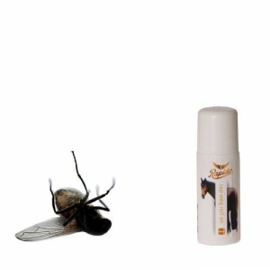 RAPIDE Rap Weg Roll On 60ml - preparat odstraszający owady w kulce 