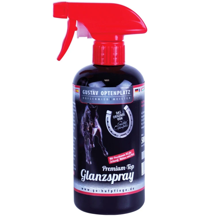 pol_pl_Premium-Top-Glanzspray-Optenplatz-6032_1.jpg