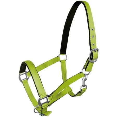 Kantar "Fluo"  