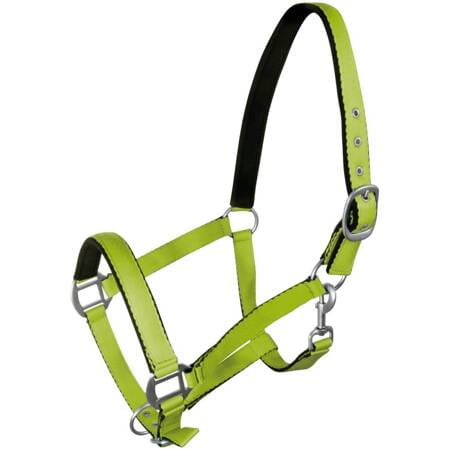 pol_pm_Kantar-York-Fluo-386_1.jpg