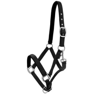 Kantar podszywany "Milo"    