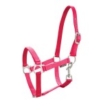 Kantar " Foal" źrebięcy 