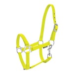 Kantar " Foal" źrebięcy  