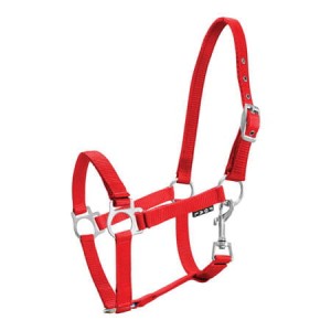 Kantar " Foal" źrebięcy   