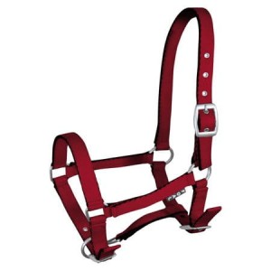 Kantar źrebięcy "Tobi"  