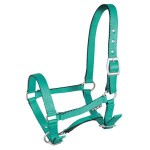 Kantar źrebięcy "Tobi"  