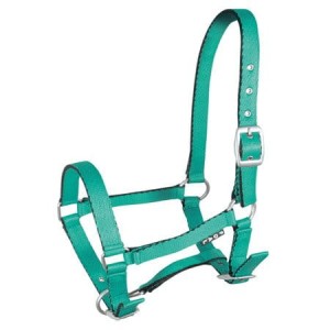 Kantar źrebięcy "Tobi"  