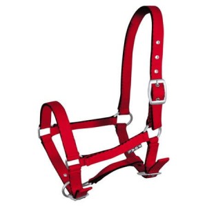 Kantar źrebięcy "Tobi"  