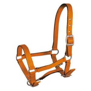 Kantar źrebięcy "Tobi"  